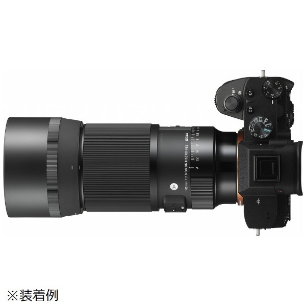 カメラレンズ 105mm F2.8 DG DN MACRO Art【ソニーEマウント】 [ソニーE /単焦点レンズ] シグマ｜SIGMA 通販 
