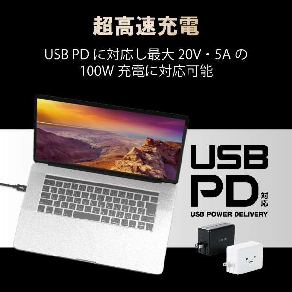 USB-C  USB-CP[u [[d /] /0.8m /USB Power Delivery /100W /USB4] ubN USB4-CC5P08BK_2