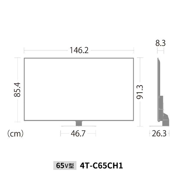 支持液晶电视AQUOS(碱水秃)4T-C65CH1[65V型/4K的/BS、CS 4K调谐器内置]_5
