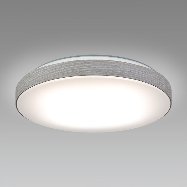 LEDシーリングライト スモーキーホワイト HLDC12234SG [12畳 /昼光色