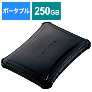 ESD-ZSA0250GBK 外付けSSD USB-A接続 PS5/PS4、録画対応(Chrome/iPadOS/iOS/Mac/Windows11対応) ブラック [250GB /ポータブル型]