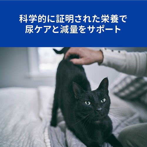 ヒルズ 猫 c/dマルチケアコンフォート+メタボリックス 4kg 日本ヒルズ