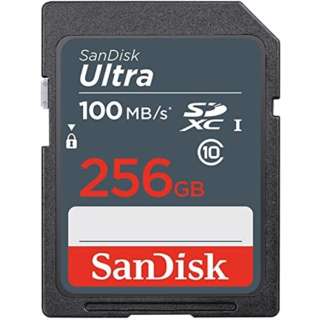 SDXC256GB SDSDUNR-256G-GN3IN [Class10 /256GB]