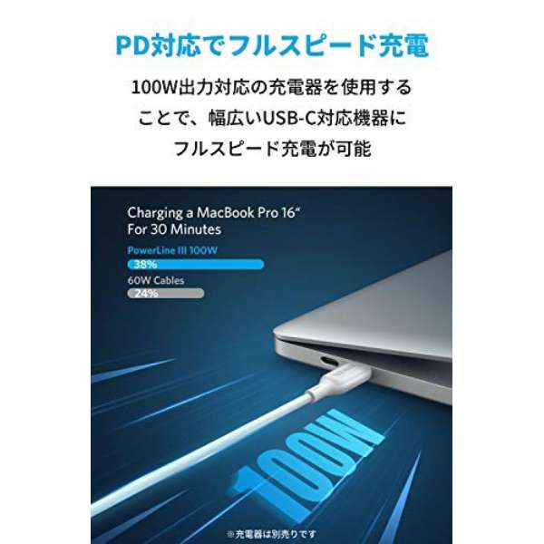 Anker PowerLine III USB-C & USB-C 2.0 100W P[u zCg A8856021 [USB Power DeliveryΉ]_2