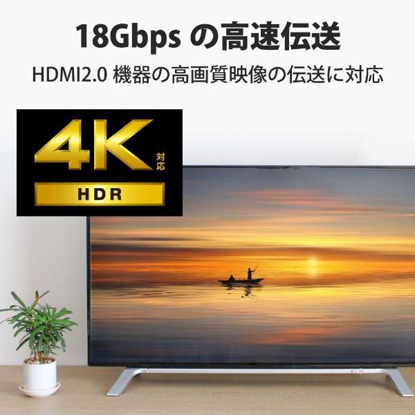 HDMIP[u Premium HDMI 1.5m 4K 60P bL y TV vWFN^[ Ήz (^CvAE19s - ^CvAE19s) C[TlbgΉ X[p[X RoHSwߏ HEC ARCΉ ubN ubN CAC-HDPSS15BK [1.5m /HDMIHDMI /X^Cv /C[TlbgΉ]_4