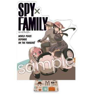 SPY~FAMILY ANX^h B