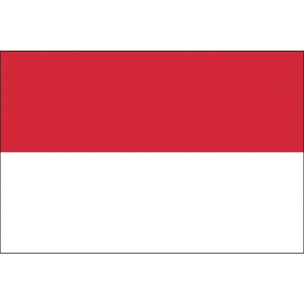 東京製旗 国旗No．1（70×105cm） インドネシア 416129 東京製旗｜Tokyo
