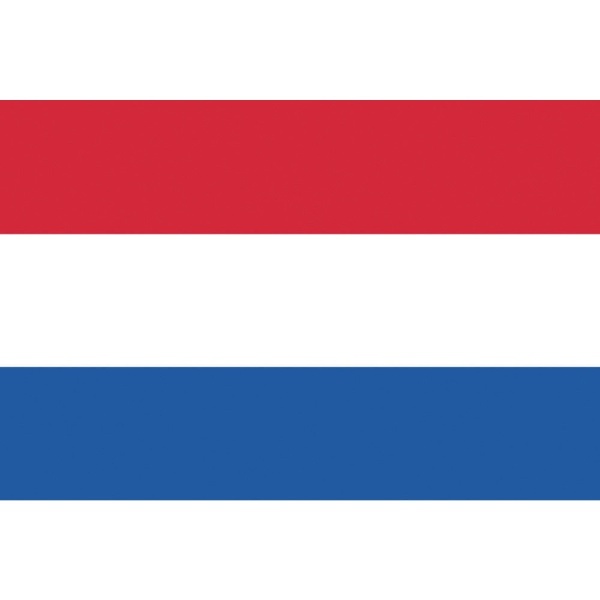 TOSPA ドイツ 連邦州旗 ザールラント州（120×180cm 高級テトロン 日本製） - 4