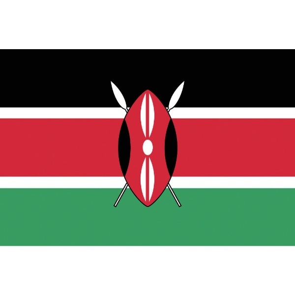 ケニア国旗70×105cm - 5