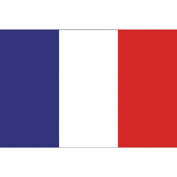 ビックカメラ.com - 東京製旗　国旗No．1（70×105cm）　フランス 416647