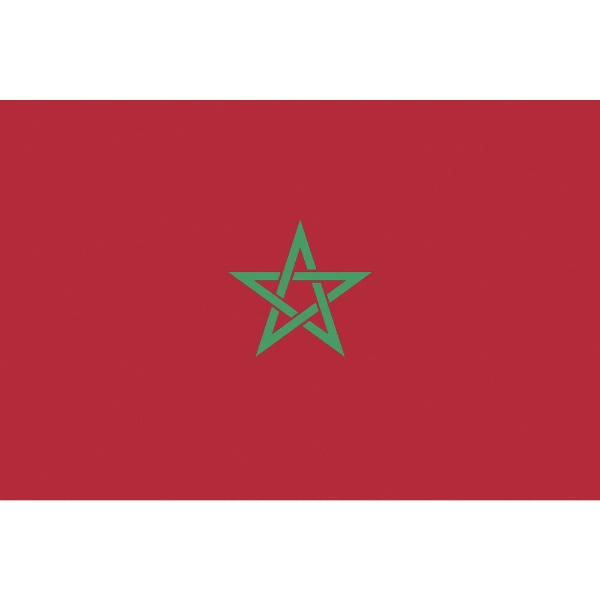 東京製旗 国旗No．1 特価キャンペーン 70×105cm 新色追加 416786 モロッコ