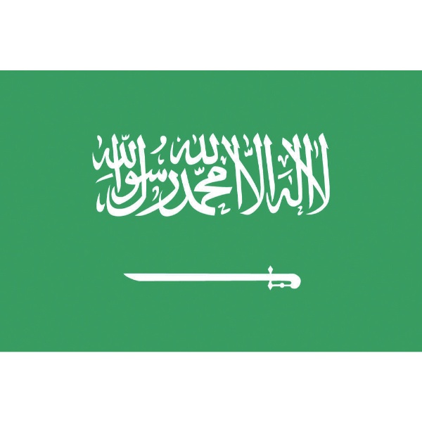 東京製旗 国旗No．2（90×135cm） サウジアラビア 426302 東京製旗