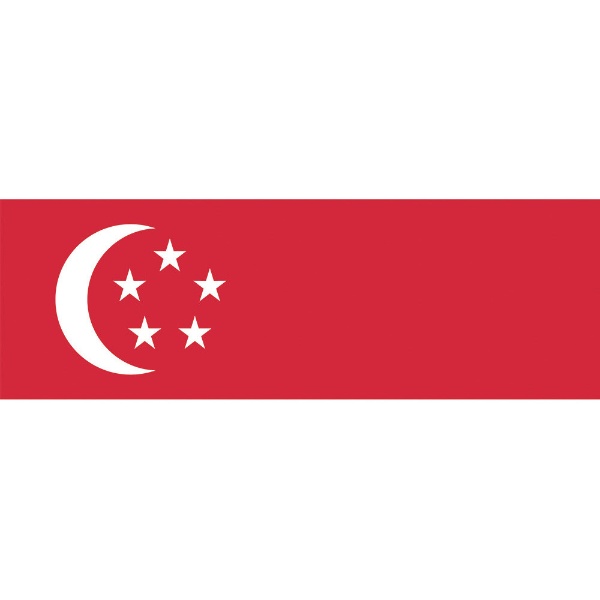 東京製旗 国旗No．2（90×135cm） シンガポ－ル 426326 東京製旗｜Tokyo