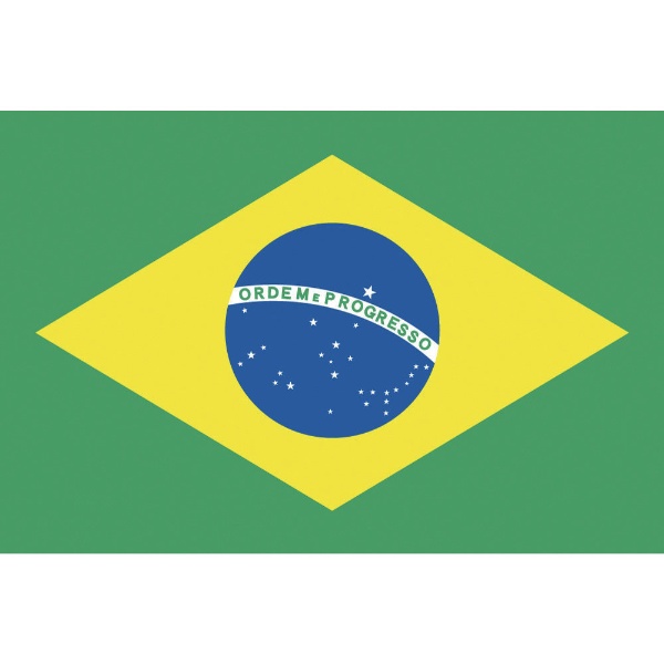 東京製旗 国旗No．2（90×135cm） ブラジル 426646 東京製旗｜Tokyo