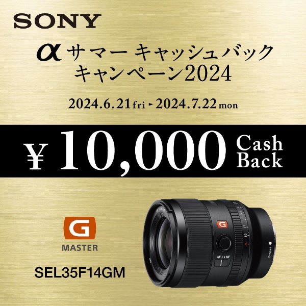 カメラレンズ FE 35mm F1.4 GM SEL35F14GM [ソニーE /単焦点レンズ 