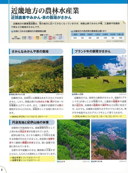 【バーゲンブック】最新版日本の地理３近畿地方