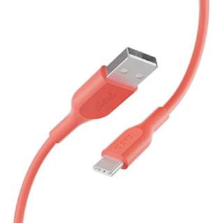 USB-A  USB-CP[u [[d /] /1.0m] R[ PMLC2001yz1M