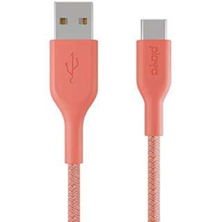 USB-A  USB-CP[u [[d /] /1.0m] R[ PMLC2002yz1M