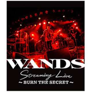 WANDS/ WANDS Streaming Live `BURN THE SECRET` yu[Cz