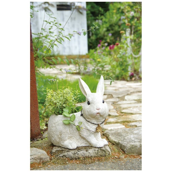 Rabbit's Farm（ラビッツファーム）プランター L KH-60972 キシマ｜KISHIMA 通販