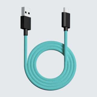 EgJX^ CXp USB-C  USB-AP[u [1.8m] ~g pw-usb-type-c-paracord-cable-mint