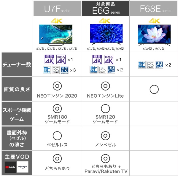 液晶テレビ 65E6G [65V型 /4K対応 /BS・CS 4Kチューナー内蔵 /YouTube