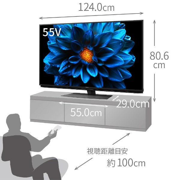 液晶テレビ AQUOS 4T-C55DN1 [55V型 /Bluetooth対応 /4K対応 /BS・CS