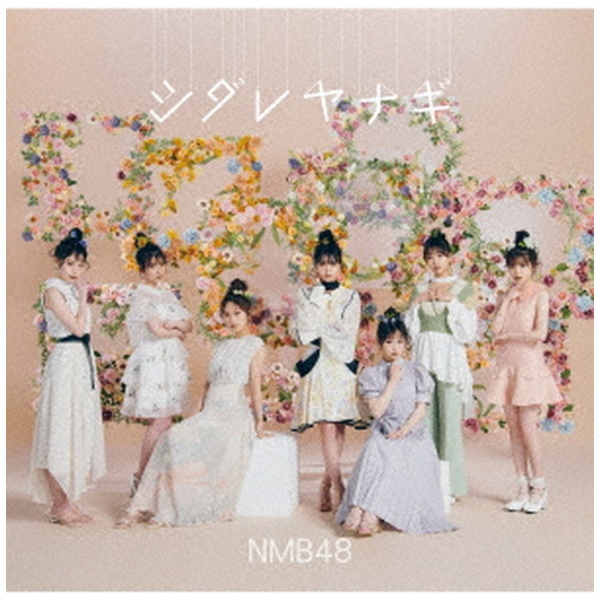 NMB48 シダレヤナギ 格安店 CD ◆在庫限り◆ 通常盤Type-A