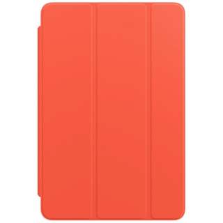iPad mini 5/4p Smart Cover GNgbNIW MJM63FE/A yïׁAOsǂɂԕiEsz_1