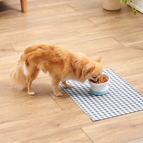 アドメイト 犬用食器 フードが食べやすい脚付き陶器食器 Sサイズ