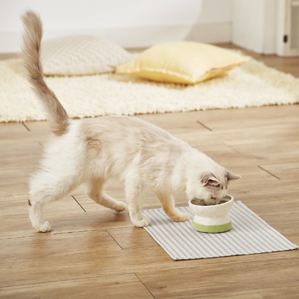 アドメイト 猫用食器 フードがこぼれにくい脚付陶器食器 ドライフード