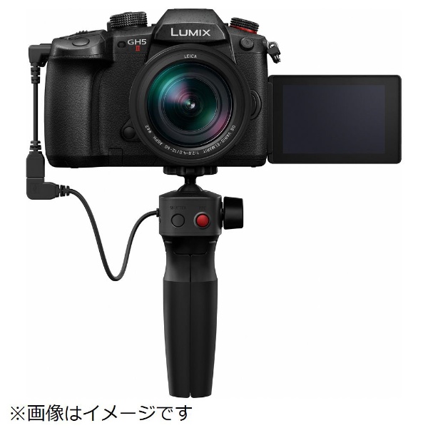 ビックカメラ.com - LUMIX GH5 II ミラーレス一眼カメラ 標準ズームレンズキット DC-GH5M2M [ズームレンズ]