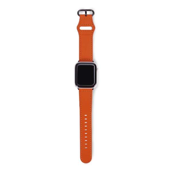 Apple Watch 40mm/38mmp GENUINE LEATHER STRAP EGARDENiGK[fj IW EGD20602AW_2