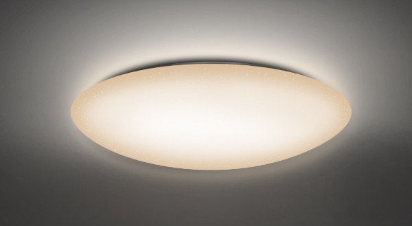 LEDシーリングライト NLEH08004B-LC [8畳 /昼光色～電球色 /リモコン