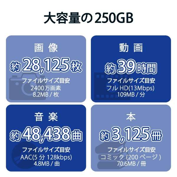 ESD-EPK0250GRD OtSSD USB-Aڑ PS5/PS4A^Ή(Chrome/iPadOS/iOS/Mac/Windows11Ή) bh [250GB /|[^u^]_7