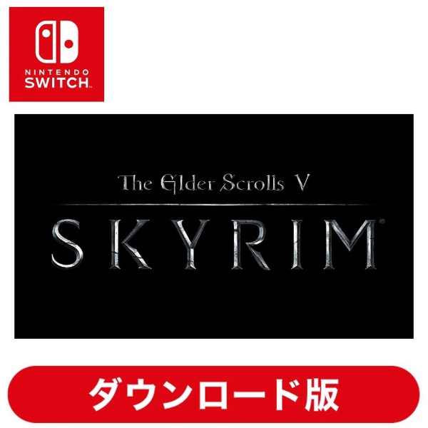 SKYRIM switch版 ソフト