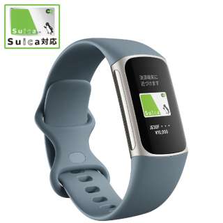 【Suica対応】Fitbit Charge5 GPS搭載フィットネストラッカー L/Sサイズ スチールブルー FB421SRBU-FRCJK