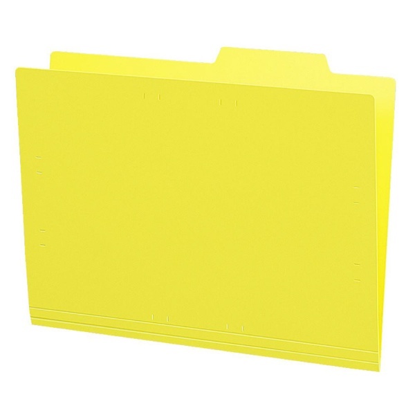 コクヨ 個別フォルダー(カラー･10冊パック) A4 黄 A4-RIFN-Y