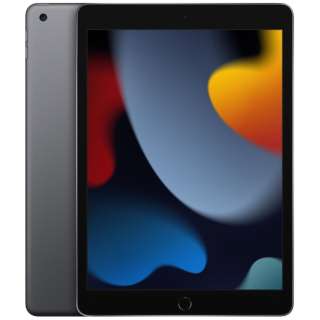 iPad(第9代)A13 Bionic 10.2型Wi-Fi库存：256GB MK2N3J/A空间灰色