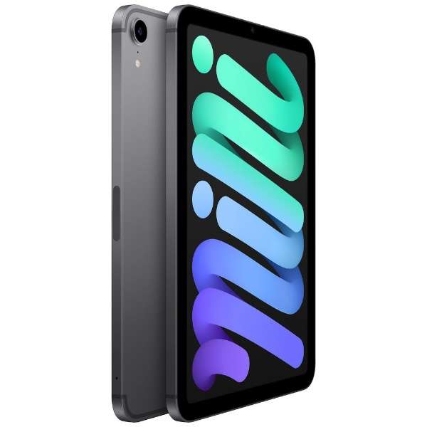[无SIM]iPad mini(第6代)A15 Bionic 8.3型Wi-Fi+Cellular型号库存：64GB双重SIM(nano-SIM和eSIM)MK893J/A空间灰色_2