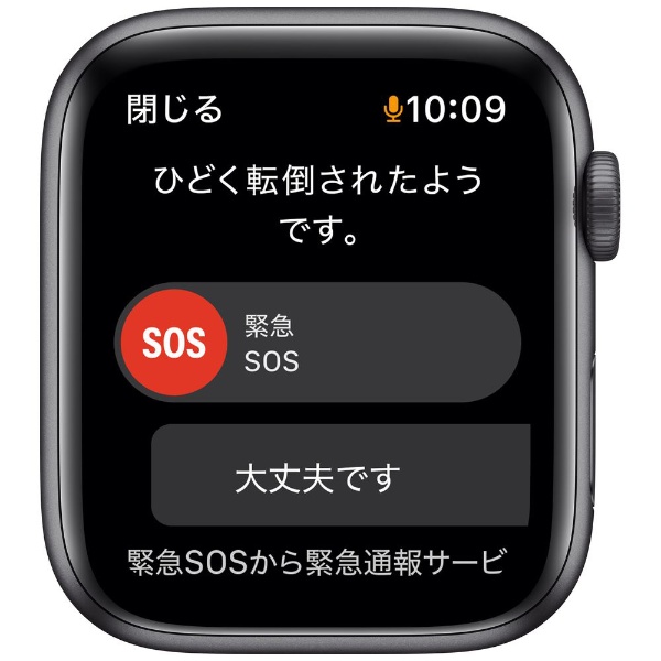 Apple Watch SE（第1世代：GPSモデル）44mmスペースグレイアルミニウム