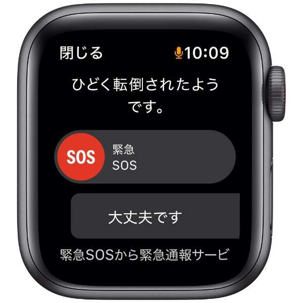Apple Watch SEiGPS+Cellularfj40mmXy[XOCA~jEP[Xƃgl[h/OCX|[c[v Xy[XOCA~jE MKR33J/A i1j_5