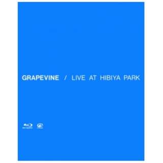 GRAPEVINE/ LIVE AT HIBIYA PARK yu[Cz