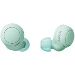 全部的无线入耳式耳机冰绿色WF-C500 GZ[无线(左右分离)/Bluetooth对应]