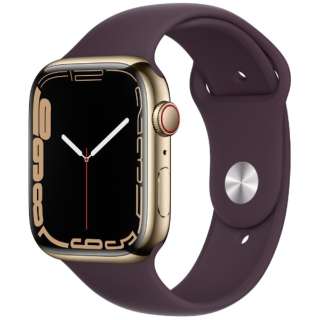 Apple Watch Series 7(GPS+Cellular型号)-45mm黄金不锈钢包和dakuchierisupotsubando-常规黄金不锈钢MKJX3J/A