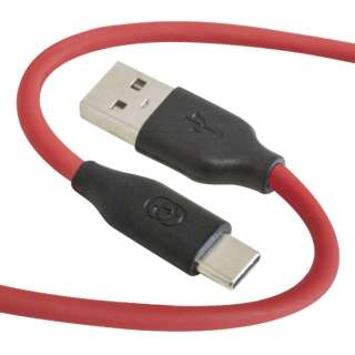VR̗p炩P[u USB-AUSB-Type-C 1.5m bh GP-ACU2S150CM/R [1.5m]