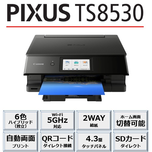 TS8530 inkjet multifunction devices PIXUS black [card/business