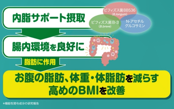 即納人気☆RINA☆様専用 ファンケル 内脂サポート15日分+3日分増量×6袋 ダイエット食品