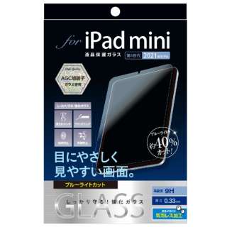 iPad minii6jp KXtB u[CgJbg TBF-IPM21GKBC