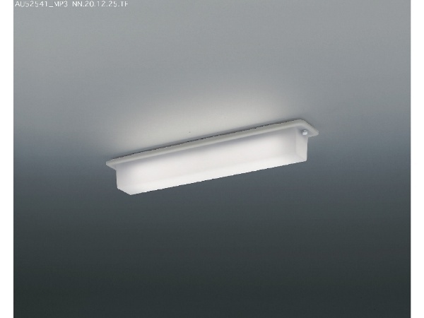 LED勝手口灯 AU38540L コイズミ照明 - 1